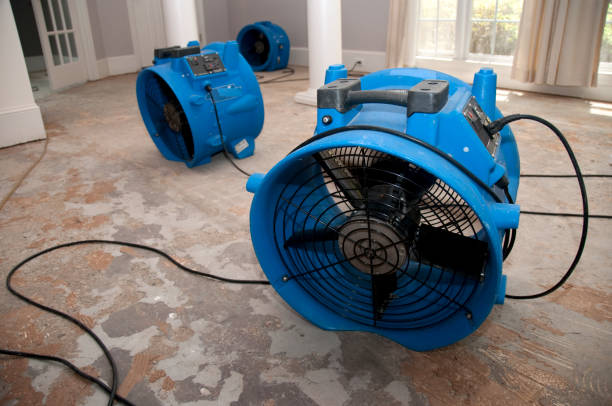 Best Local water damage restoration  in Campbelltown, PA