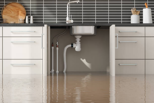Best Flood damage cleanup  in Campbelltown, PA